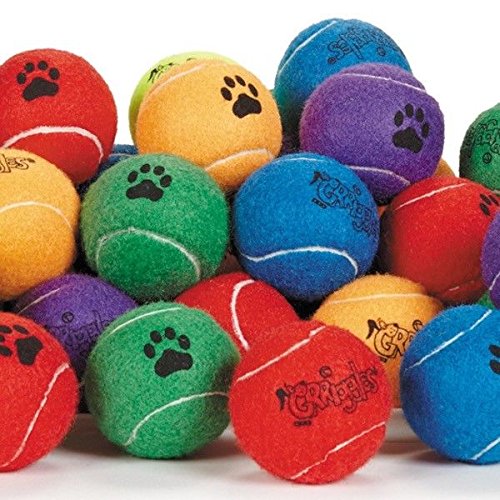 Durable 2.5 Inch Dog Tennis Balls - Colorful Chew Toys for Pets (5-Pack) | Perfect for Fetch, Training & Outdoor Play
