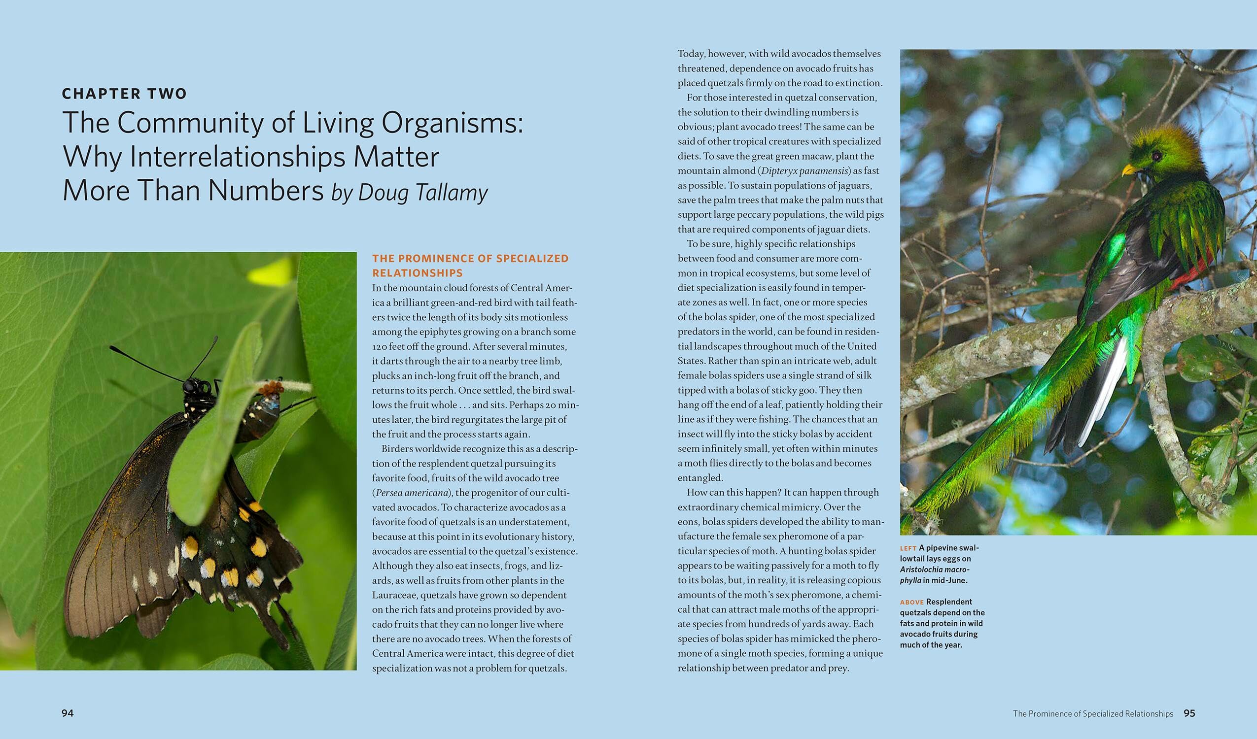 The Living Landscape: Guide to Designing Beautiful and Biodiverse Home Gardens | Perfect for Eco-Friendly Outdoor Spaces & Sustainable Gardening