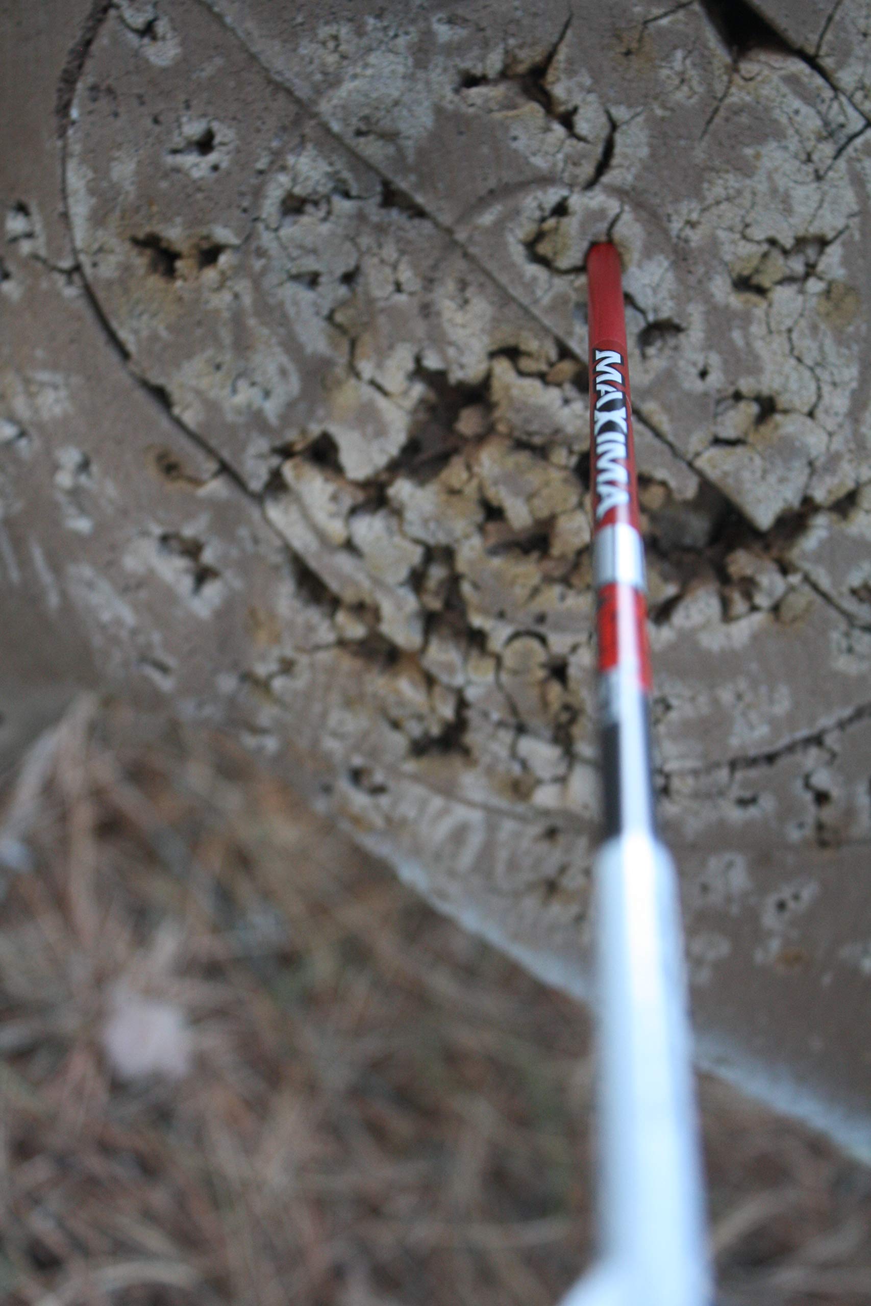 Carbon Express Maxima Red SD Carbon Arrow - High Performance Hunting Arrows for Bowfishing & Target Practice | Perfect for Outdoor Adventures & Competitive Shooting