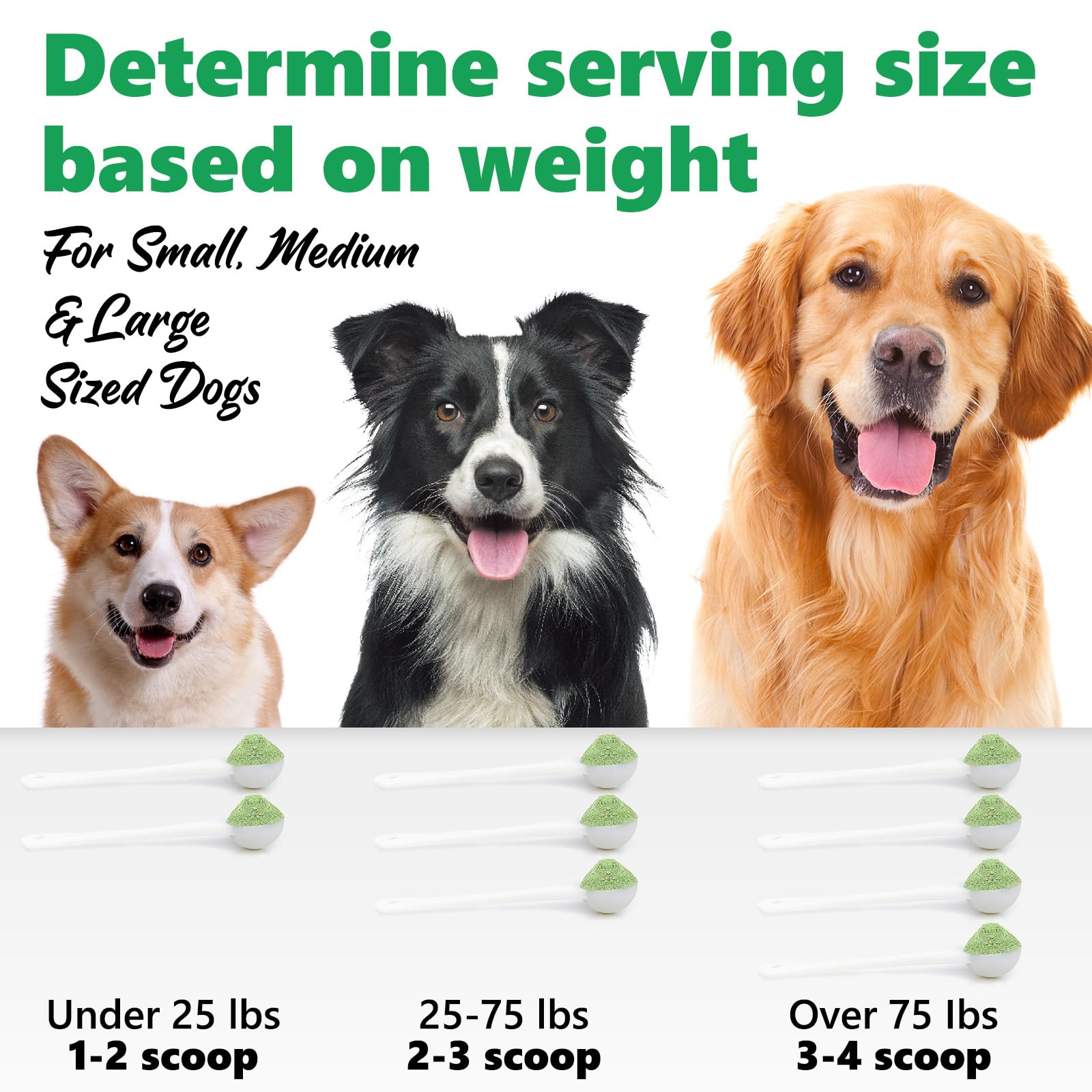 Natural Dog Teeth Cleaning Powder with Probiotics - Freshens Breath, Reduces Plaque & Tartar for Small, Medium & Large Dogs - 50g Dental Care for Healthy Gums & Fresh Breath at Home or Travel