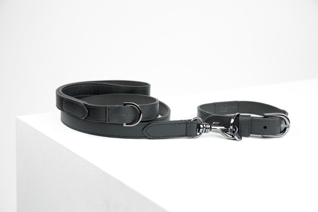 MaxBone Jewel Jet Reflective Dog Leash - Stylish & Durable Pet Walking Accessory for Small & Medium Dogs - Perfect for Night Walks, Jogging & Outdoor Adventures