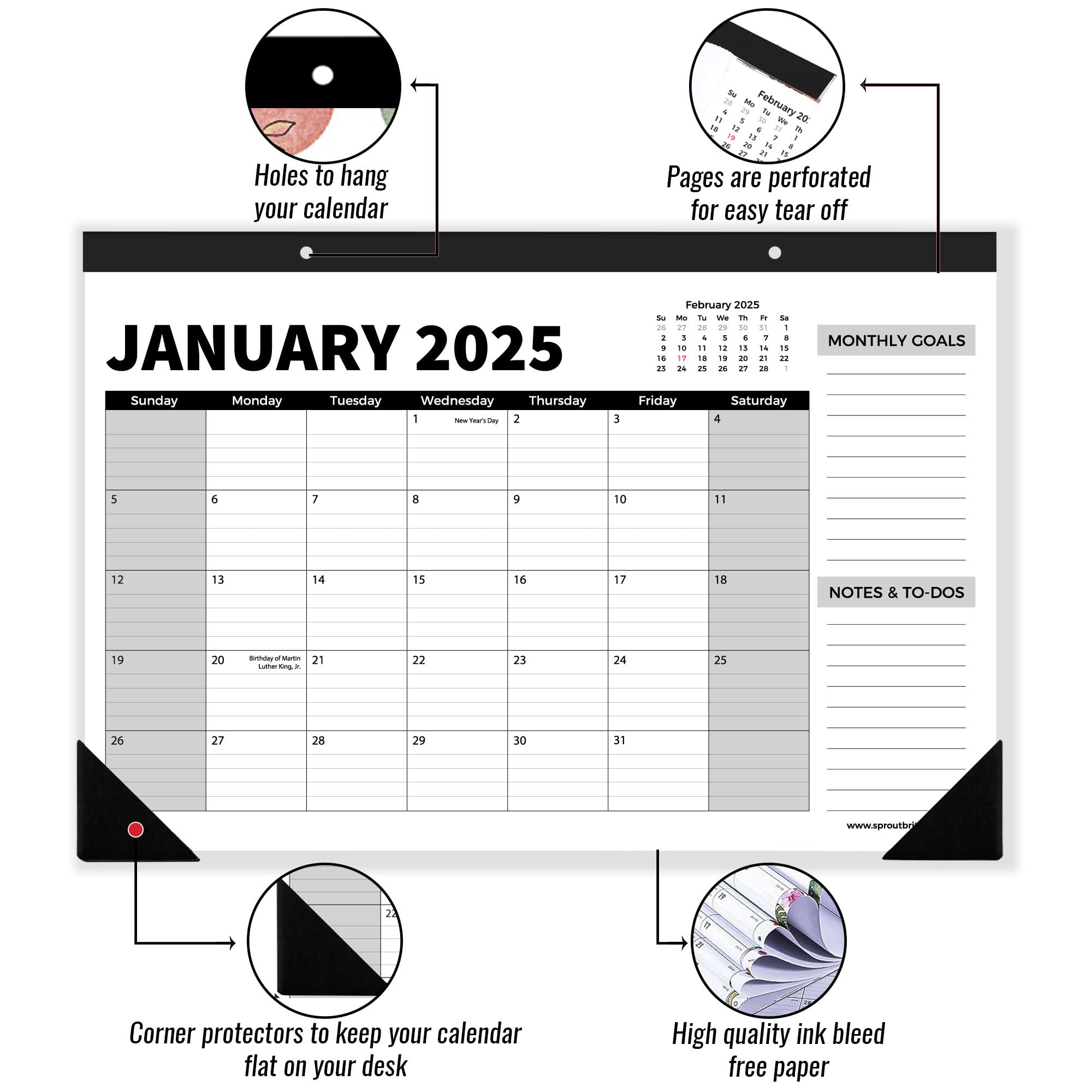 Sproutbrite 18-Month Wall Calendar 2025-2026 - Medium Size 17