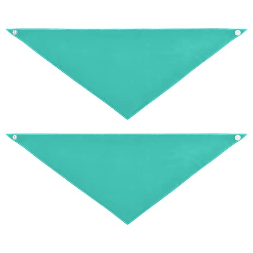 Teal Turquoise