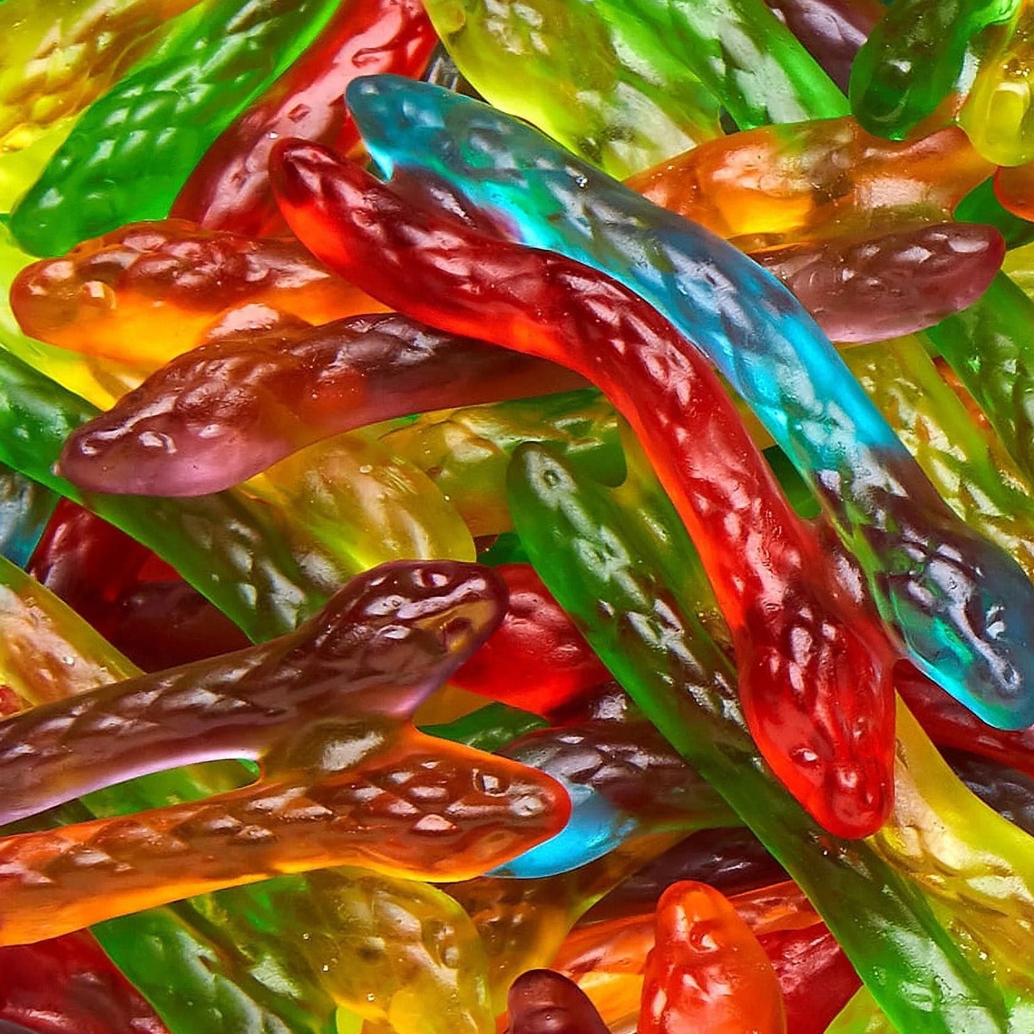 Haribo Twin Snakes Gummy Candy - 28.8oz Party Size Bag | Sour & Sweet Chewy Snakes | Perfect for Halloween Treats, Birthday Parties & Movie Night Snacks