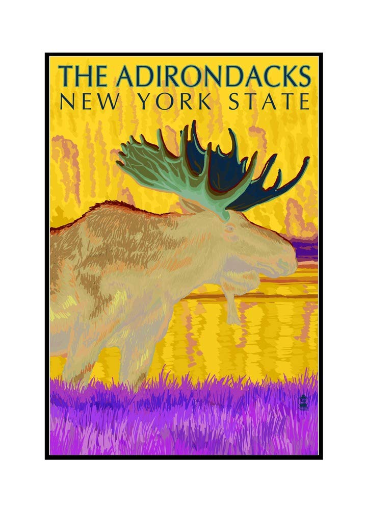Adirondacks New York Moose at Night - 24x36 Framed Gallery Wrapped Canvas Wall Art - Perfect for Living Room, Bedroom & Office Decor