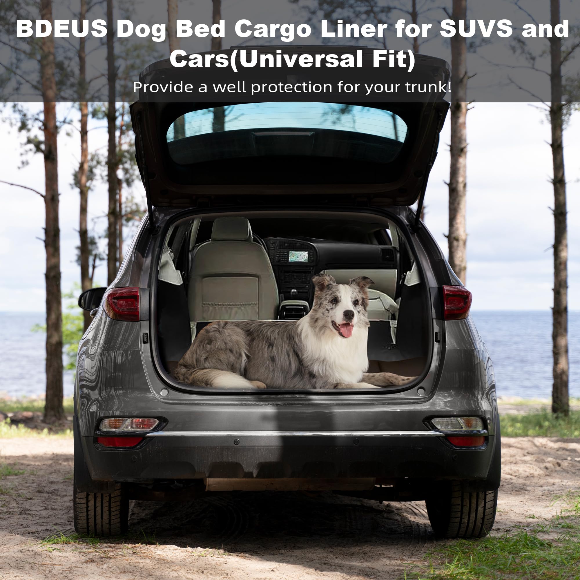 BDEUS 51x35In Extra Large Waterproof Outdoor Dog Bed - Portable Travel Camping Pet Mat, Washable & Odor Resistant Cooling Pad for Dogs (Black) - Perfect for Backyard, RV Trips & Beach Outings