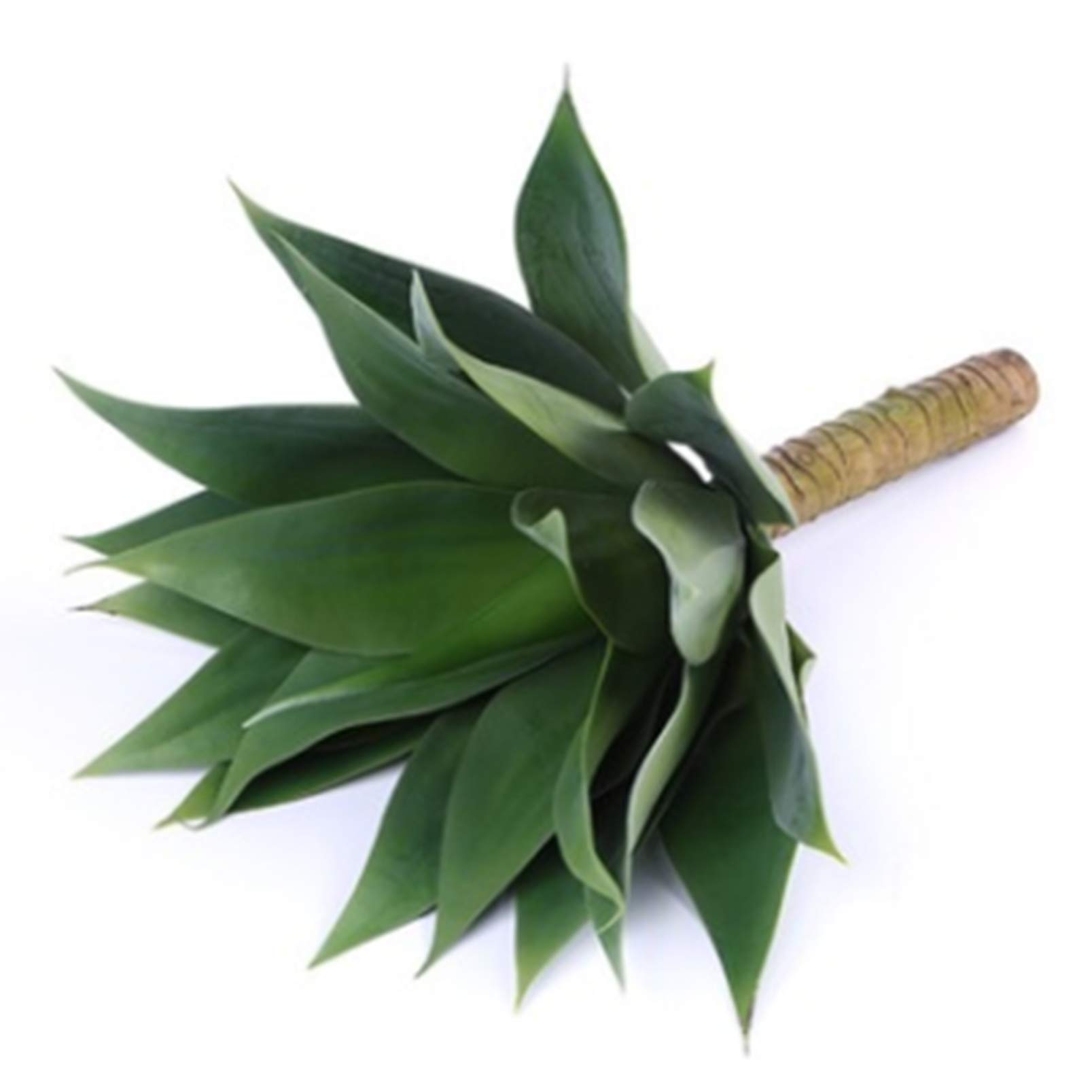 Premium Artificial Agave Plant - 20x20 Inch Realistic Faux Succulent for Indoor & Outdoor Decor | Unpotted Fake Plant with Lifelike Details | Perfect for Home, Office, Garden, and Wedding Centerpieces