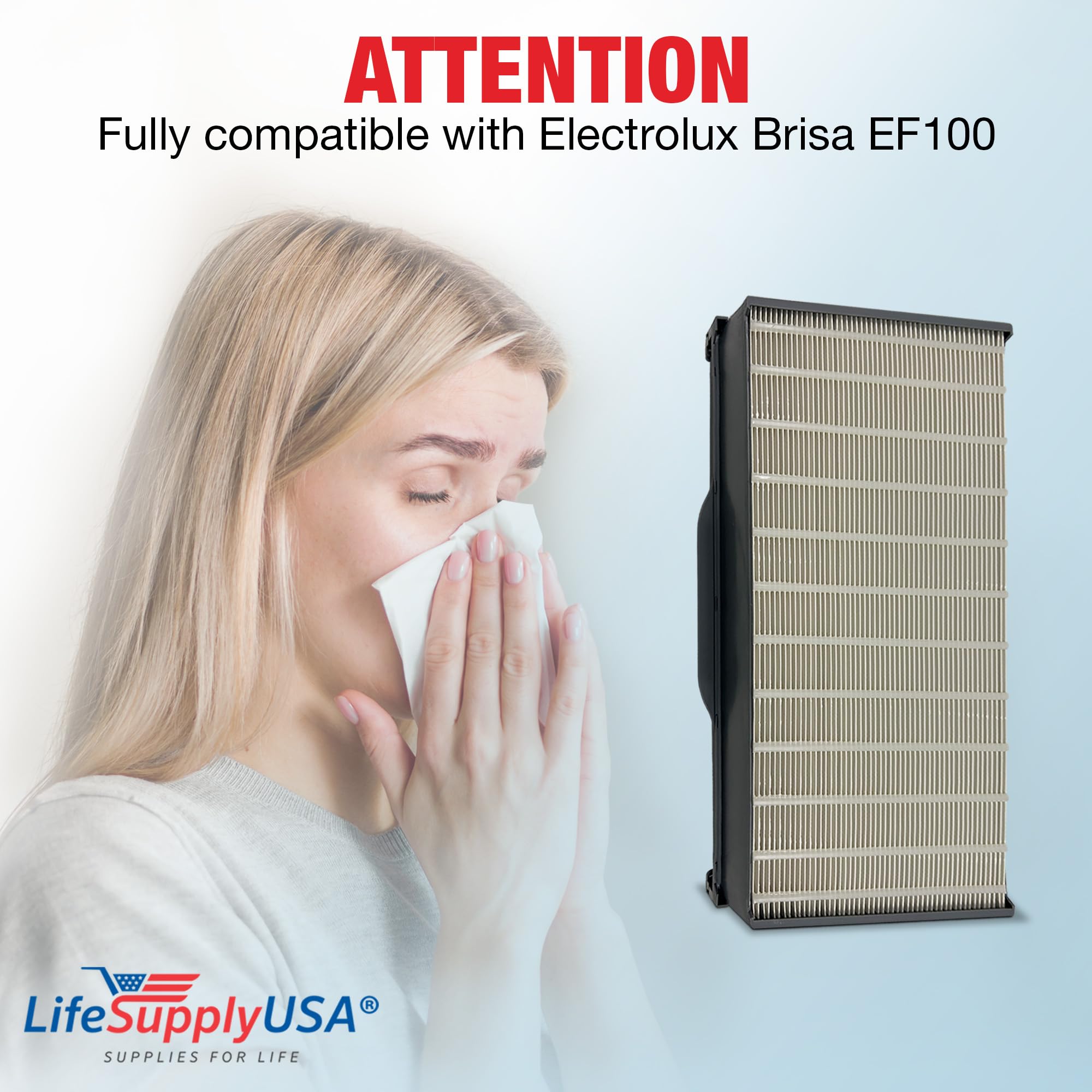LifeSupplyUSA True HEPA Air Filter Replacement for Electrolux Brisa EF100 Air Purifier - Eliminates Dust, Pollen & Pet Dander - Perfect for Allergy Sufferers & Home Air Purification