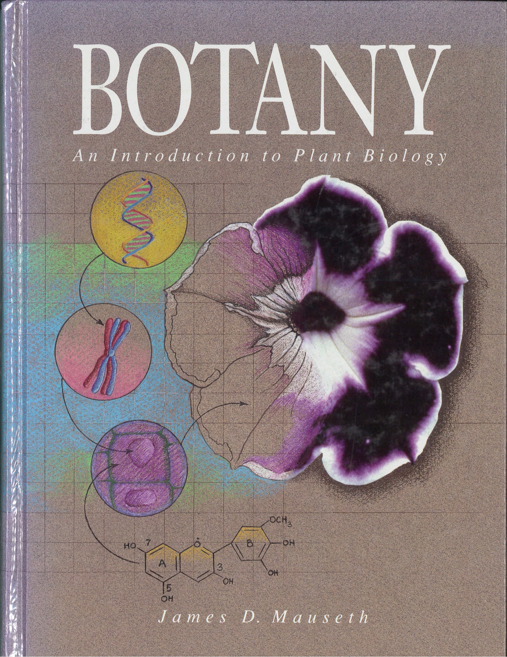 Botany: Introduction to Plant Biology - Textbook for Students & Gardeners | Study Plant Science, Gardening & Ecology