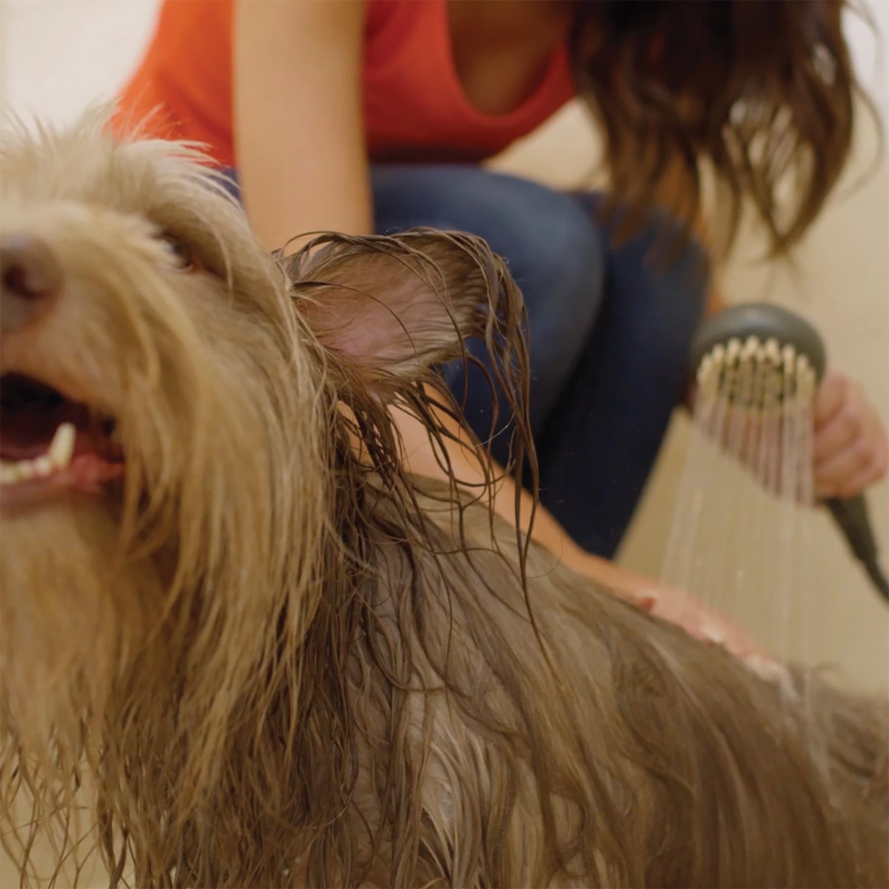 Oxygenics PawSpa SuperWash Complete Pet Washing Kit - Dog & Cat Grooming System with Shower Head, Brush & Nozzle for Bathing, Cleaning & Massaging at Home