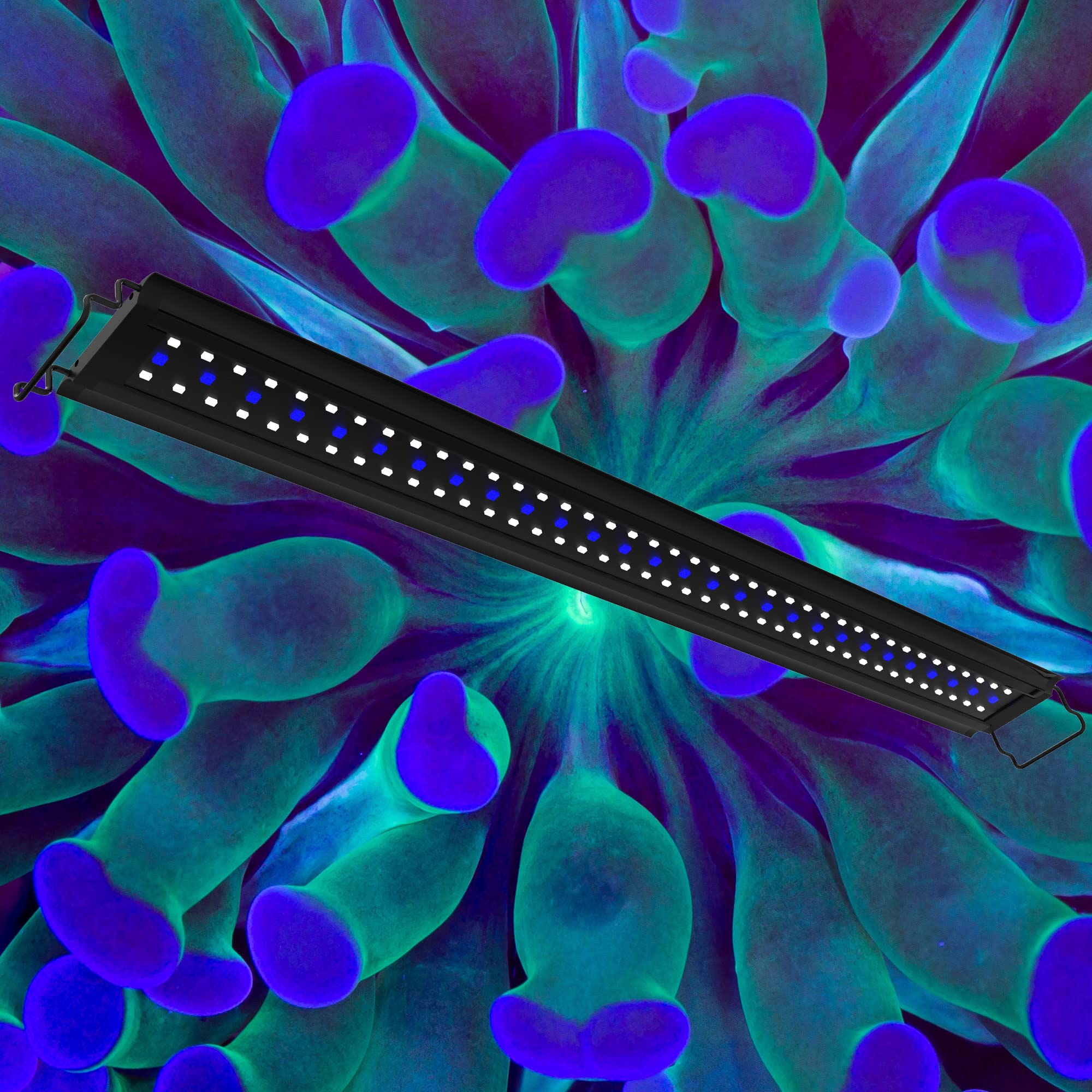 Aquatop SkyAqua Pro LED Aquarium Light 48-54 Inch, 6500K Full Spectrum with Remote - Fish Tank Lighting for Freshwater & Saltwater Aquariums, UL/CSA Certified, Natural Sunlight Effect - Perfect for Coral Growth and Planted Tanks