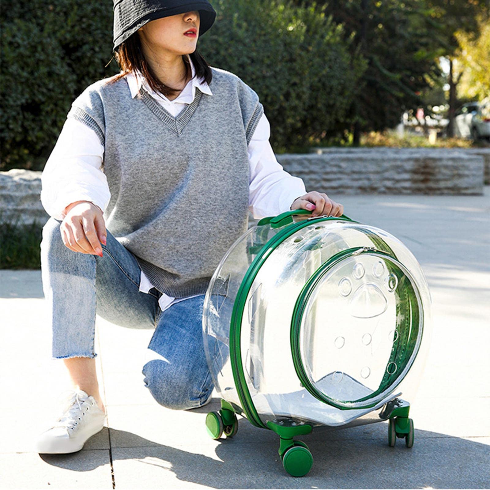 Enakshi Clear Rolling Pet Carrier for Cats & Dogs - Travel Tote with Wheels, Hiking Trolley Case in Green | Portable Pet Supplies for Airplane, Car, Vet Visits & Outdoor Adventures