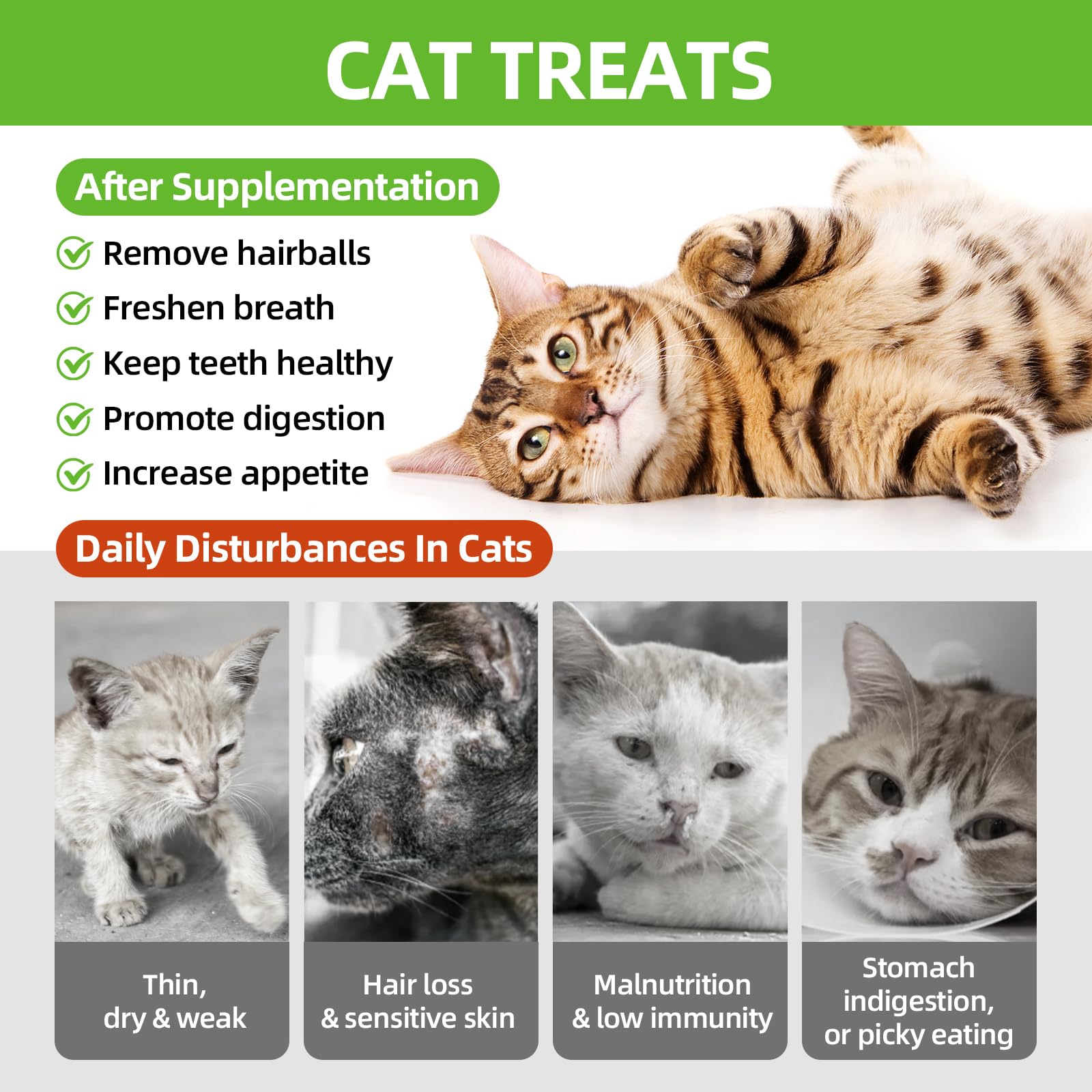 Natural Cat Grass Sticks 100g - Healthy Cat Treats for Hairball Control, Teeth Cleaning & Appetite Stimulation | Catnip-Infused Edible Chew Toys for Indoor Cats & Kittens | Perfect for Playtime, Training & Digestive Health