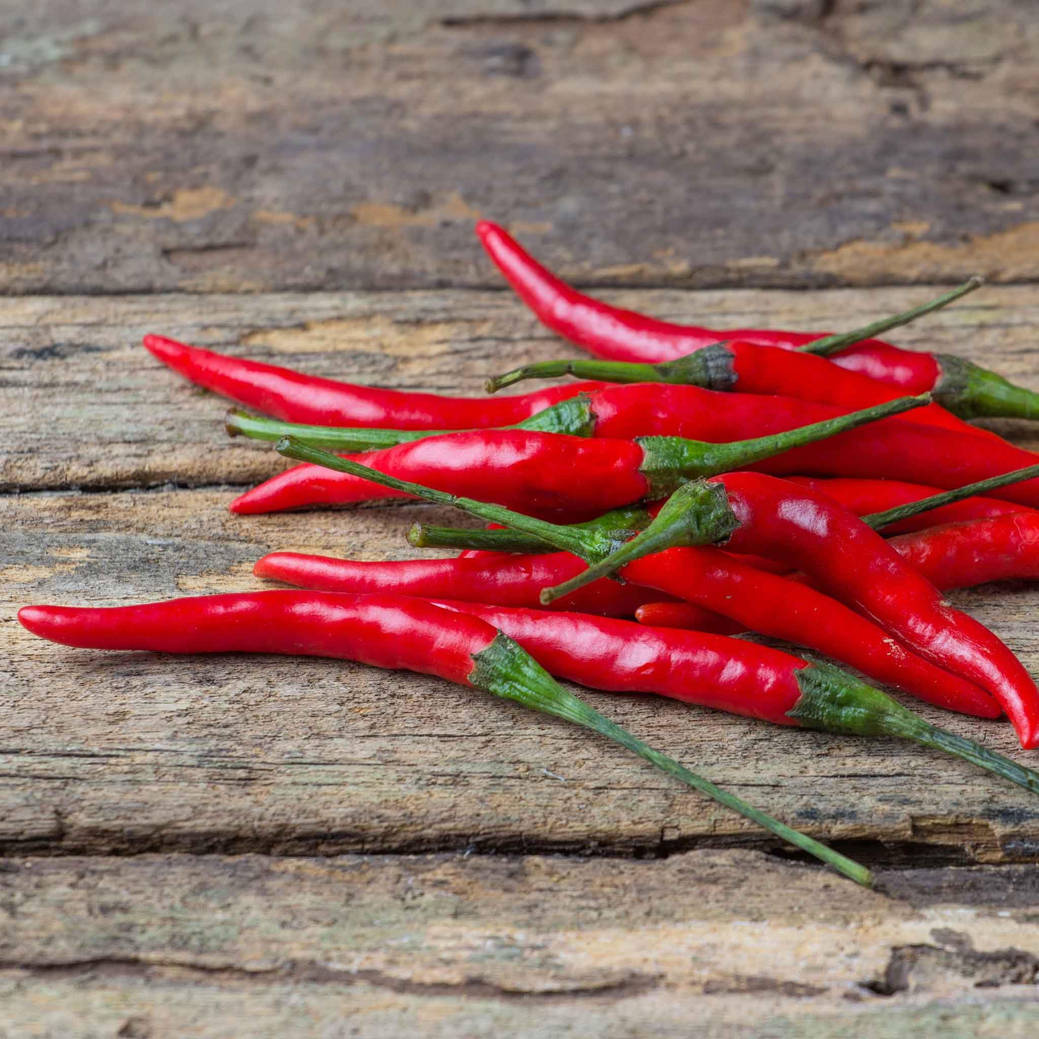 Eden Brothers Hot Pepper Seeds - Chile De Arbol Heirloom Variety | Spicy Garden Planting for Salsas, Hot Sauces & Mexican Cuisine