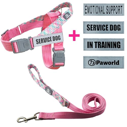 Pink (Leash + Harness + 4 Patches)