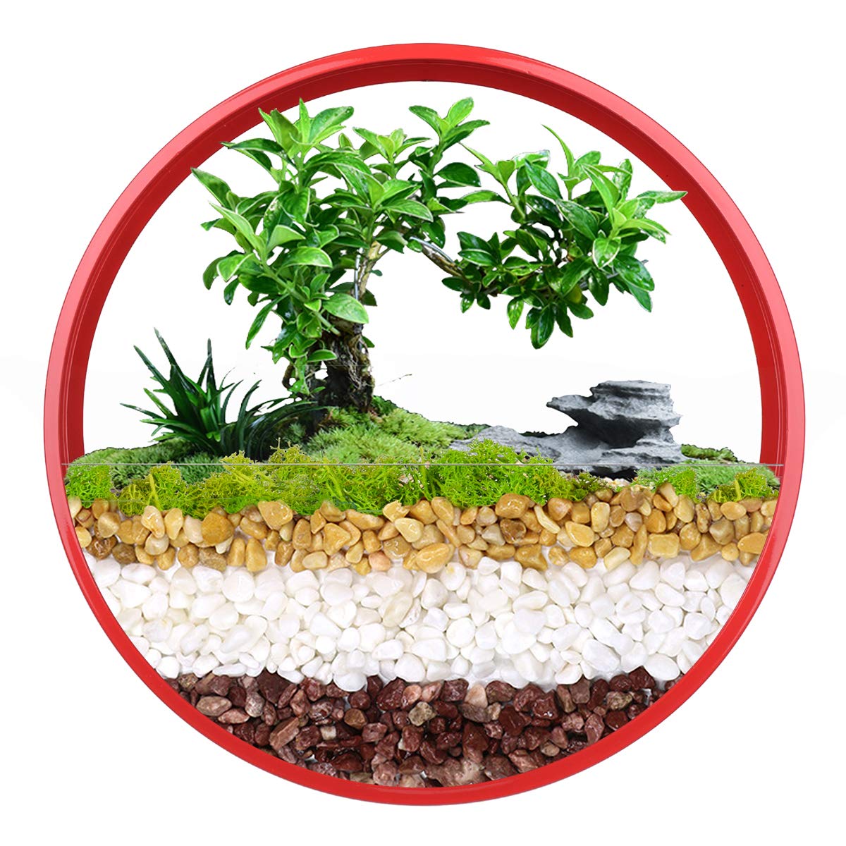 EcoSides 12