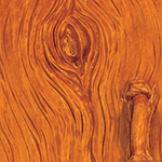 Terra Cotta