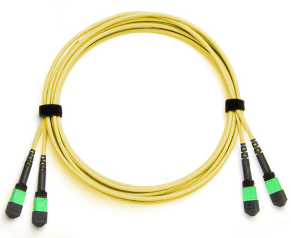 24 Strand MTP/MPO APC Polish Single Mode 9/125 OS2 Plenum Fiber Optic Cable (Female to Female, Method B) - High-Speed Data Center & Telecom Network Connectivity Solution