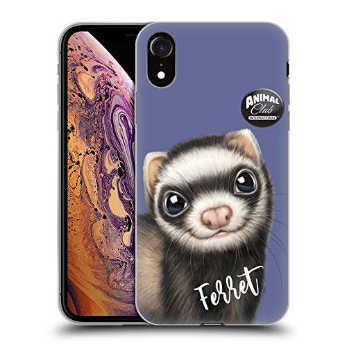 Ferret
