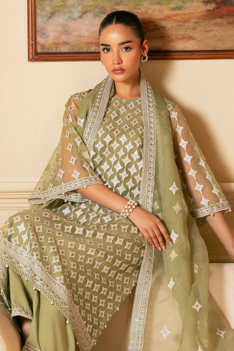 Elegant Minted Sage 4-Piece Embroidered Organza Suit Set for Women – Perfect for Weddings, Parties & Special Occasions