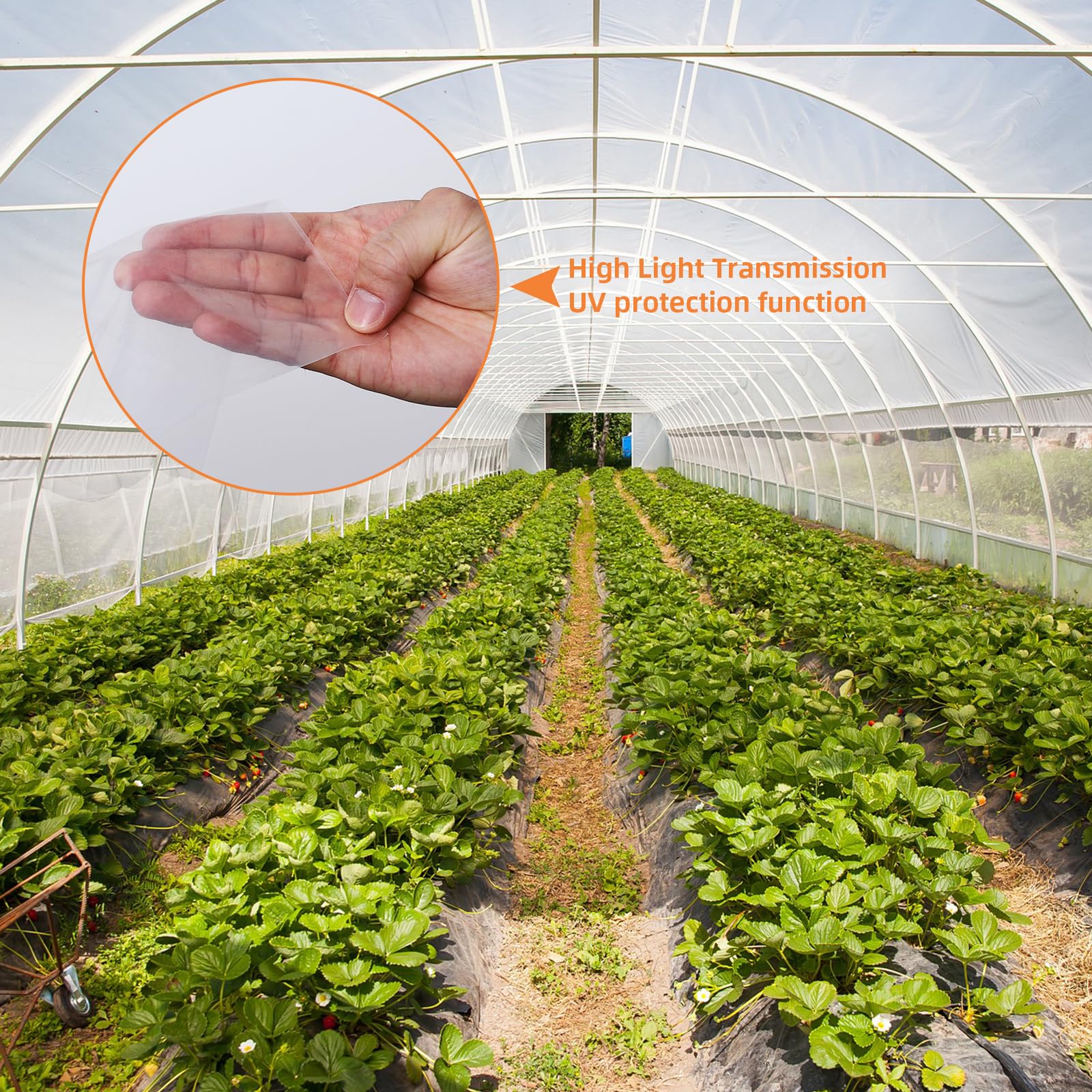 25x40 Ft Greenhouse Plastic Sheeting - 6 Mil Clear UV Resistant Polyethylene Film for Hoop House, Farming & Gardening | Durable Replacement Cover for Plant Protection & Season Extension