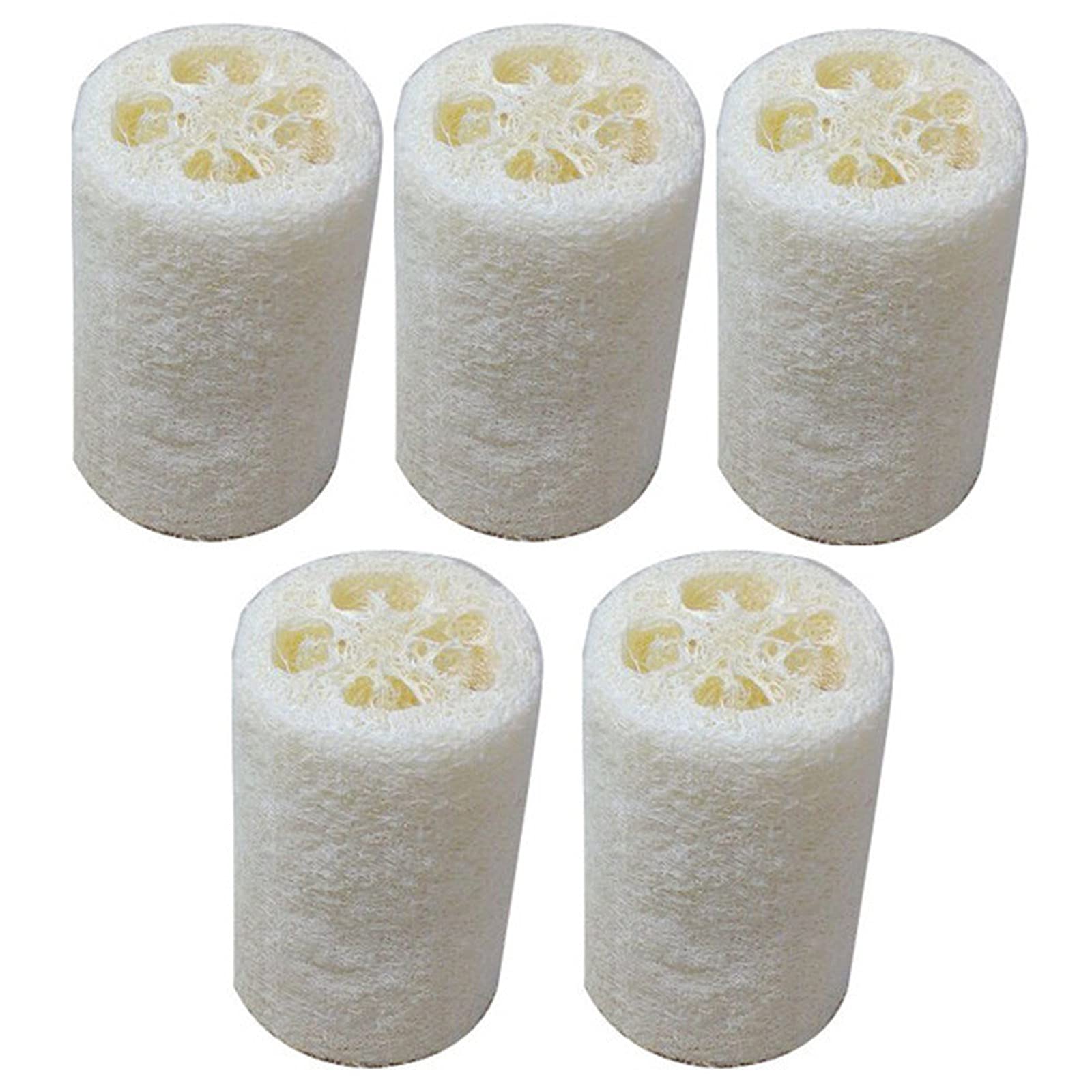 VAISA Natural Loofah Sponges - 5PCS White 4-inch Exfoliating Bath & Shower Sponges for Body Scrub | Eco-Friendly Gourd Loofah Pads for Gentle Skin Exfoliation & Spa Experience