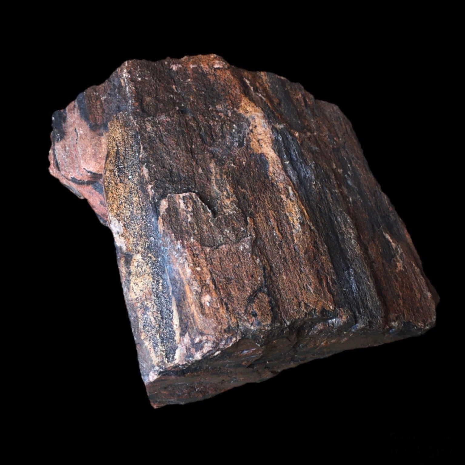 Natural Petrified Wood from Arizona - Unique Fossilized Wood for Home Decor, Jewelry Making & Collectibles | Perfect for DIY Crafts, Gifts & Geological Displays