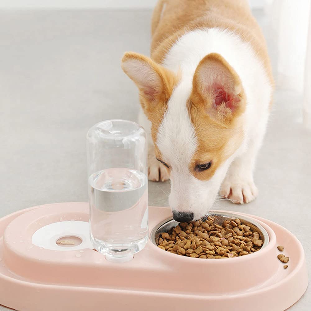 Elevated Double Pet Bowls with Automatic Water Dispenser - Detachable Stainless Steel No-Spill Dog & Cat Feeder for Small/Medium Pets - Perfect for Home, Travel, and Outdoor Use with Puppies, Kittens & Rabbits