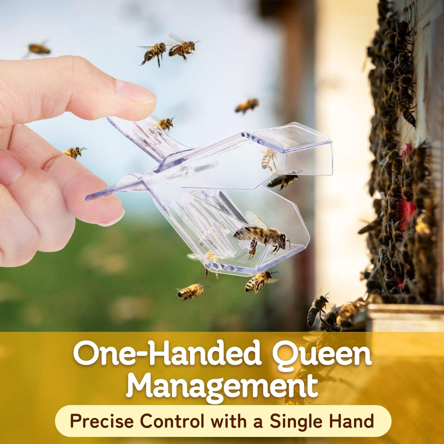 Flexzion 5-Pack Transparent Bee Queen Clips - Easy One-Handed Queen Bee Catcher for Marking & Handling | Beekeeping Essential for Hive Management & Queen Rearing