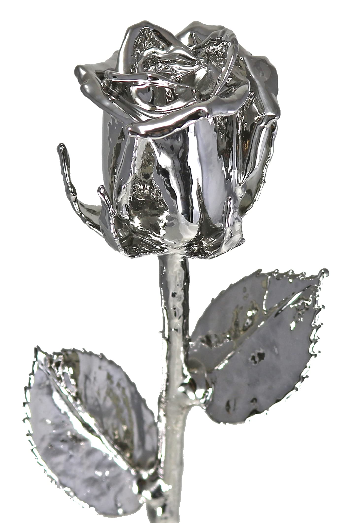 24K Gold Plated Real Rose in Glass Vase - Eternal Venus Rose (12