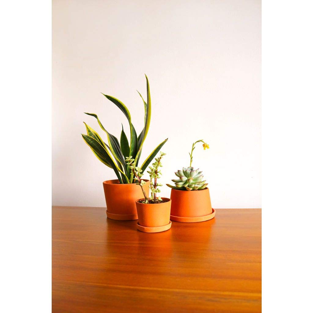 3-Pack Mini Terracotta Plant Pots - Brown Clay Flower Pots for Succulents, Herbs & Small Plants | Indoor & Outdoor Home Decor, Office Desk Decor, Garden Planting
