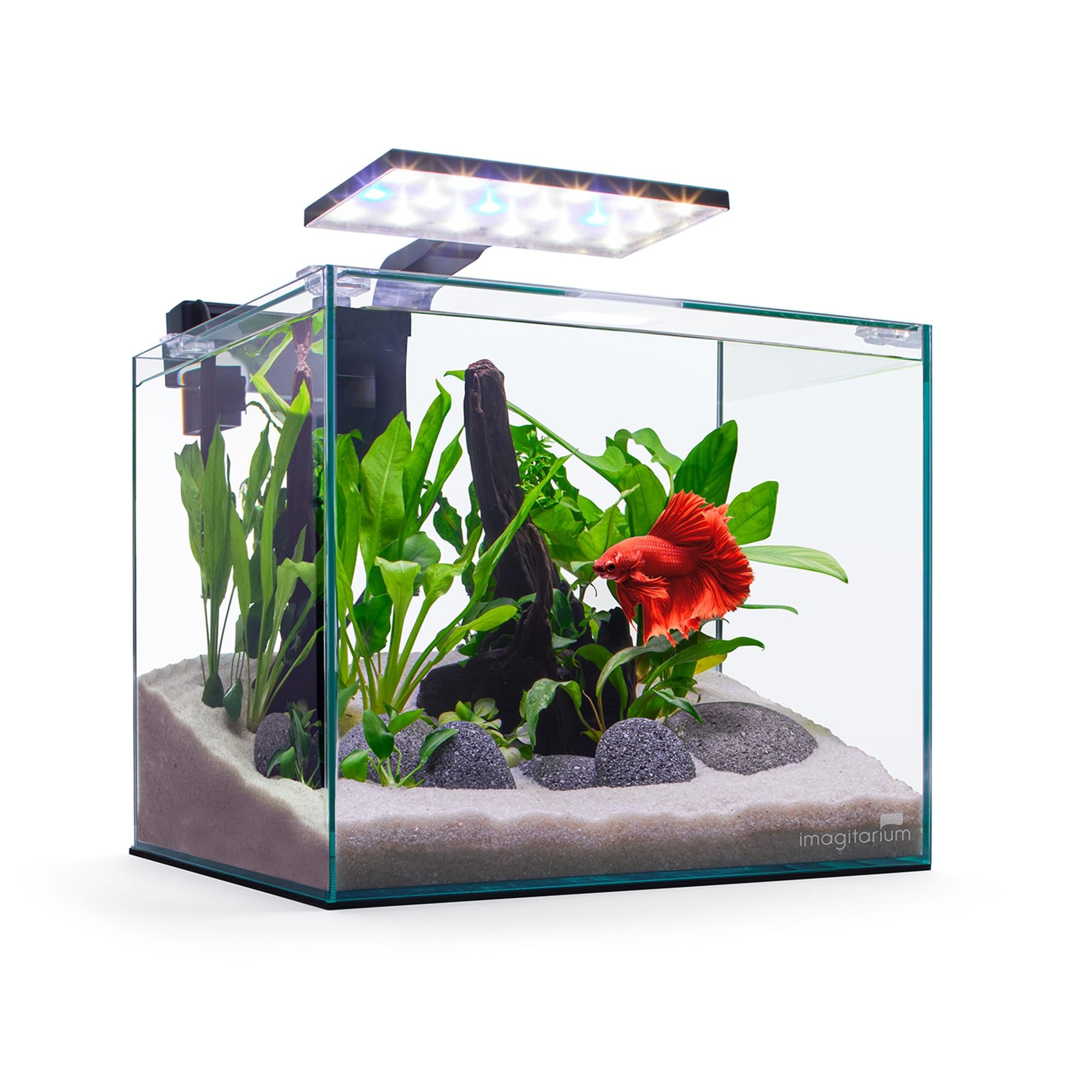 Imagitarium 5 Gallon Glass Betta Fish Tank Kit - Complete Aquarium Starter Set for Small Fish, Shrimp or Plants | Perfect for Home, Office Desk or Dorm Room Decor