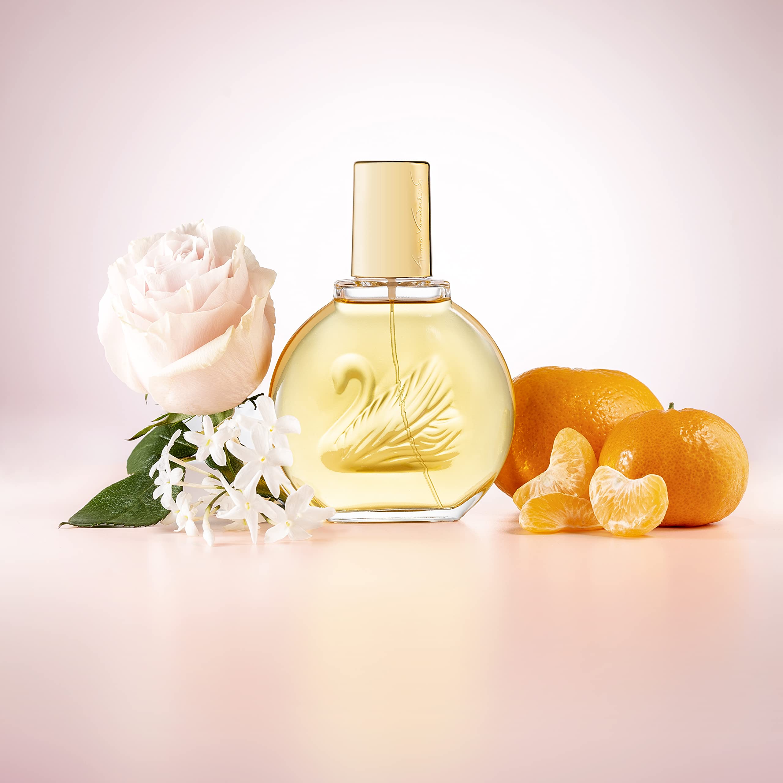 Gloria Vanderbilt Vanderbilt Eau de Toilette Spray for Women - 1 oz Floral Fragrance, Long-Lasting Perfume | Perfect for Daily Wear, Office, Date Night & Special Occasions