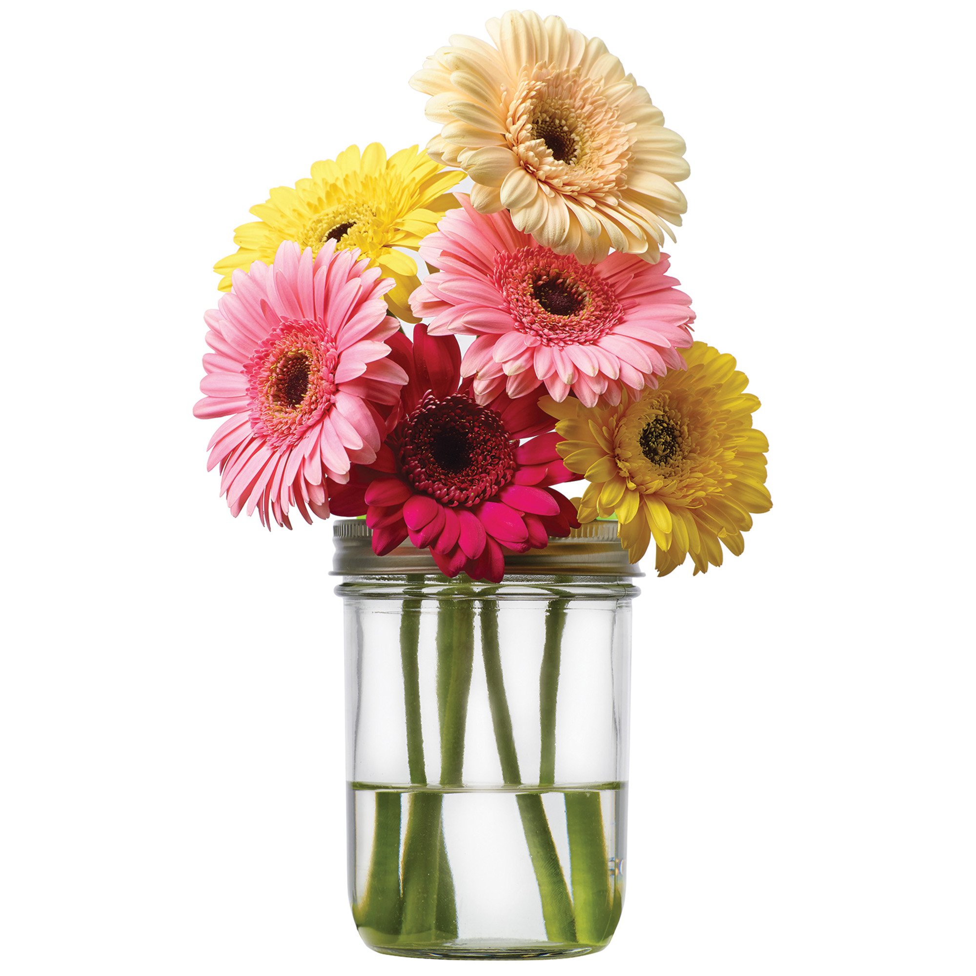 Jarware Flower Frog Grid - Green Pen & Pencil Organizer for Wide Mouth Mason Jars - Perfect for Office, Craft Room & Kitchen Organization