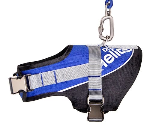Reflective Comfort Leash Harness Set for Dogs - Adjustable & Safe Pet Walking Gear for Night Visibility (Ideal for Evening Walks, Jogging & Outdoor Adventures)