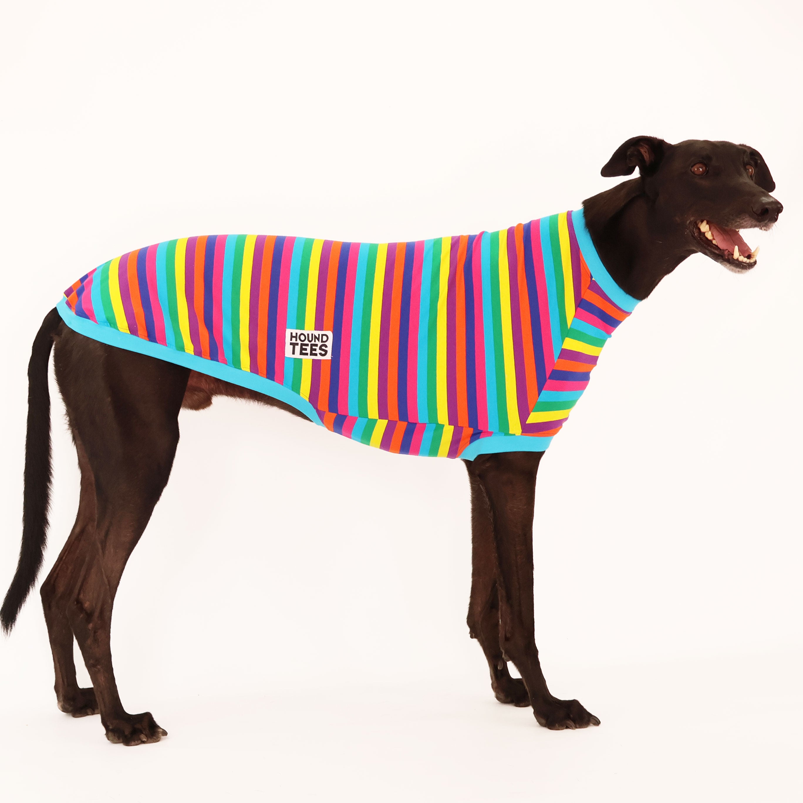 Stylish Greyhound Sleeveless T-Shirt for Dog Lovers - Perfect for Summer Outings, Dog Parks & Casual Wear