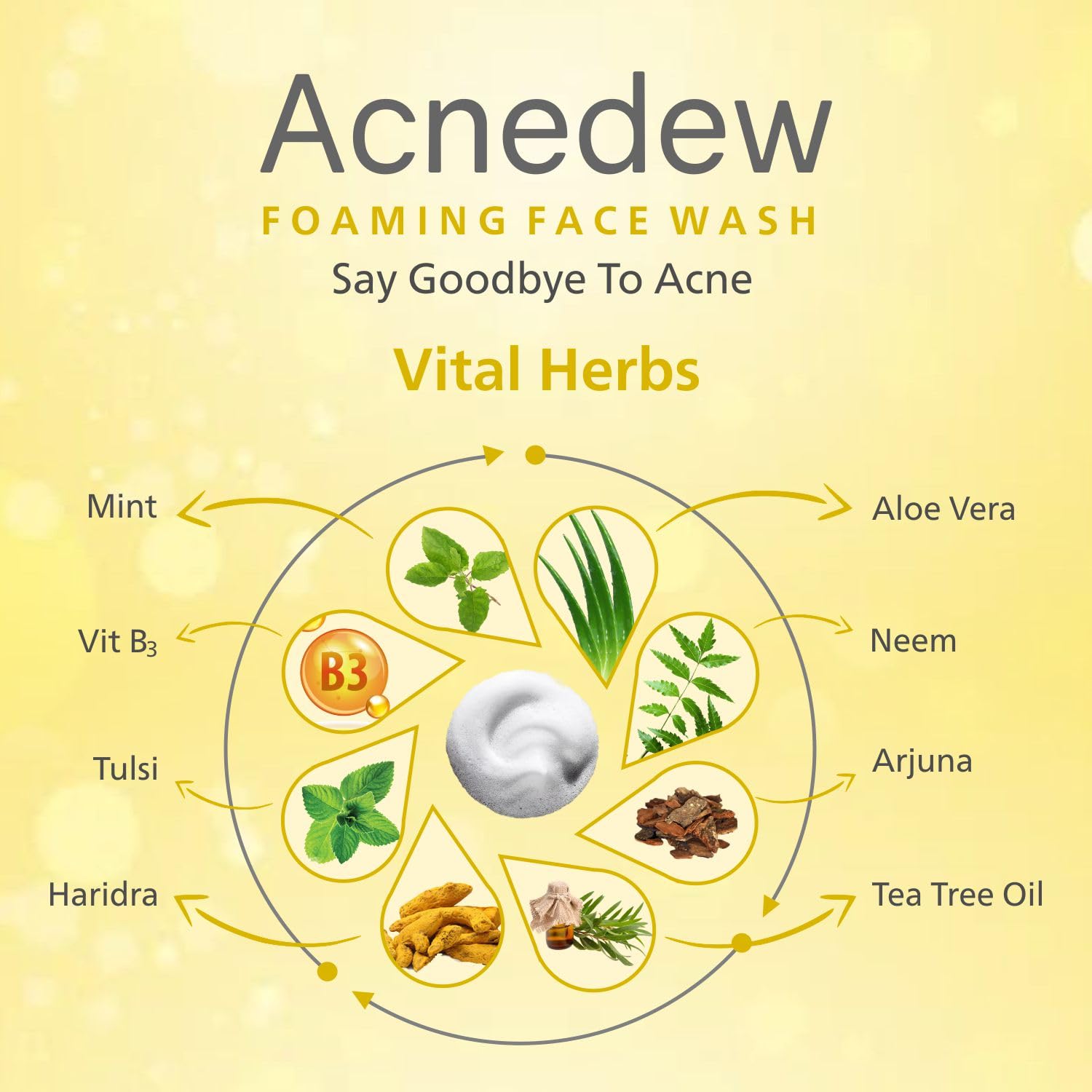 Acnedew Salicylic Acid 1.2% & Tea Tree Oil Foaming Face Wash - Oil Free, Paraben Free & Soap Free Anti Acne Cleanser (100ml, Pack of 2) | Gentle Daily Face Wash for Oily & Acne-Prone Skin | Perfect for Teens & Adults