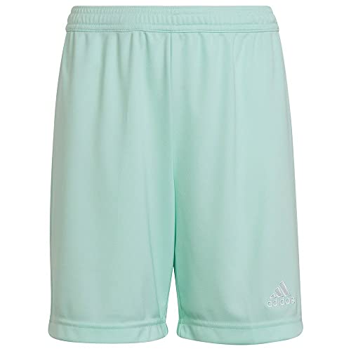 Clear Mint