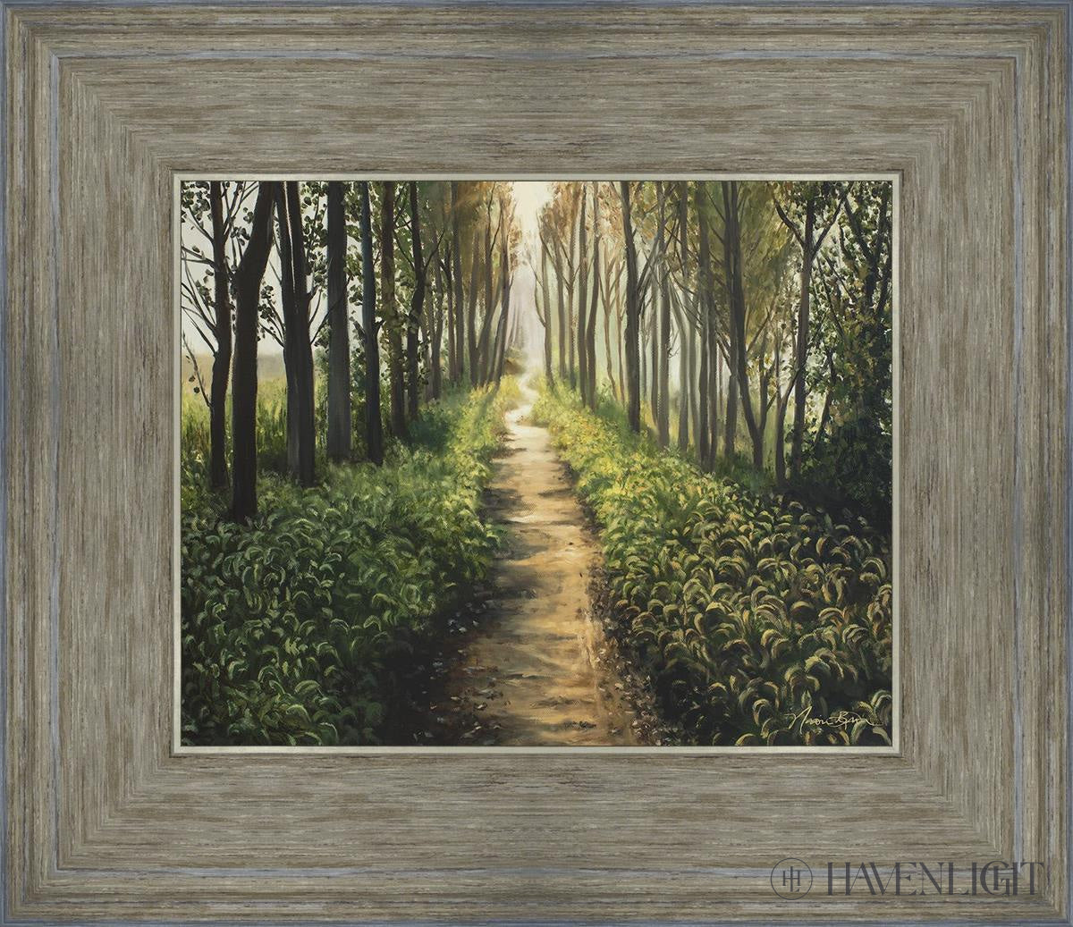Forest Walkway - Beautiful Wooden Pathway for Gardens, Parks & Trails | Perfect for Outdoor Decor & Nature Walks