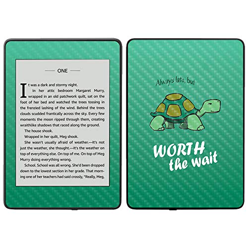 Late Turtle