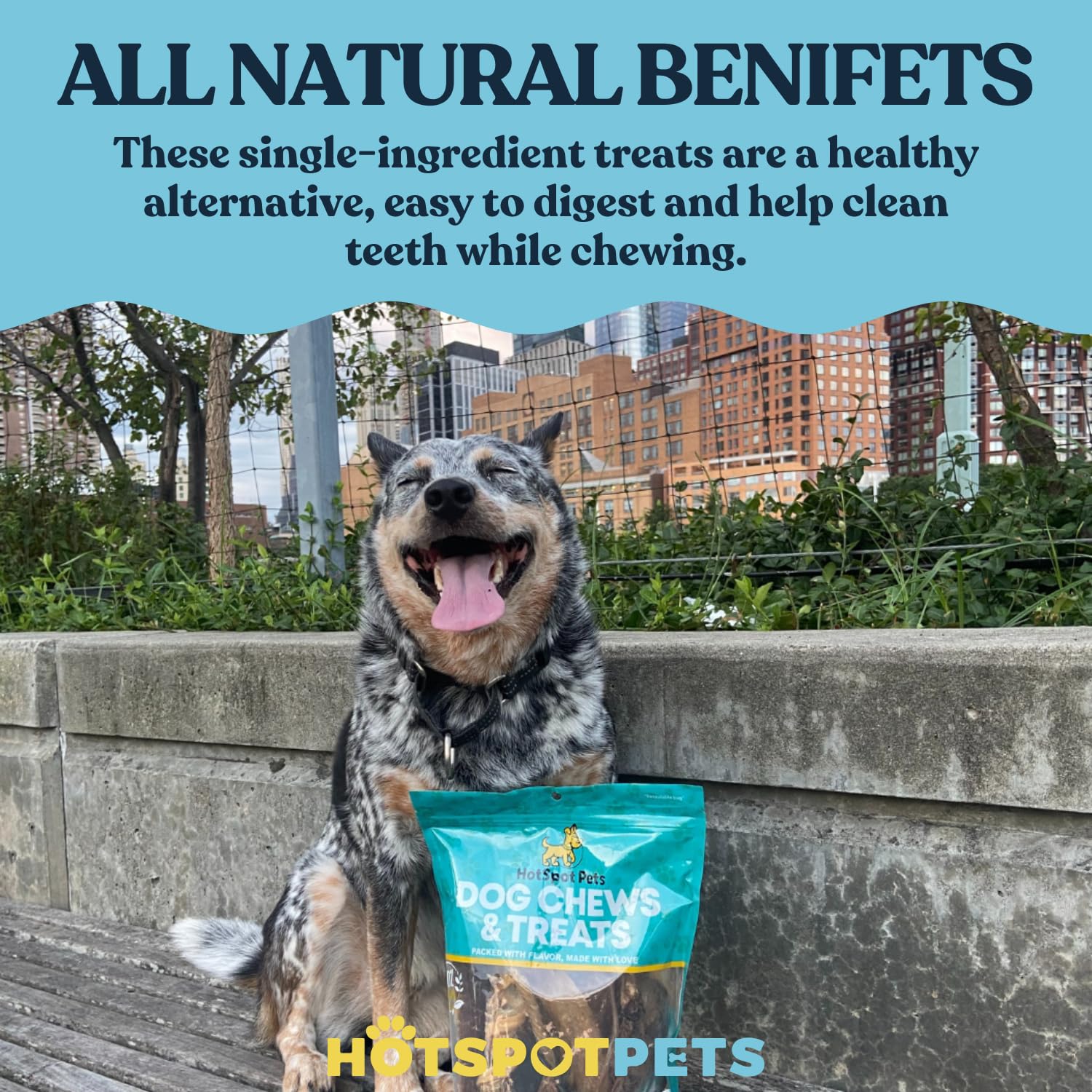 Premium Grass-Fed Beef Esophagus Dog Treats - 6 Inch All-Natural Chews, No Added Hormones, Rich in Glucosamine & Chondroitin for Joint Health (1LB Bag) - Perfect for Training, Dental Care & Senior Dogs