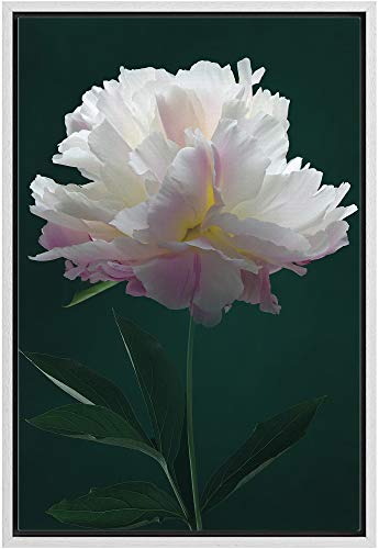Flower-m02
