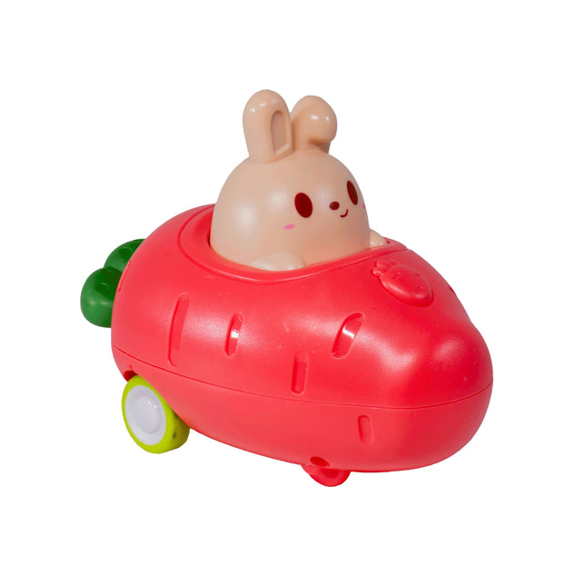 Assorted Push 'N Go Bunny Toy - Fun and Interactive Toddler Push Toy for Kids - Perfect for Indoor Play, Outdoor Activities, and Early Learning Development