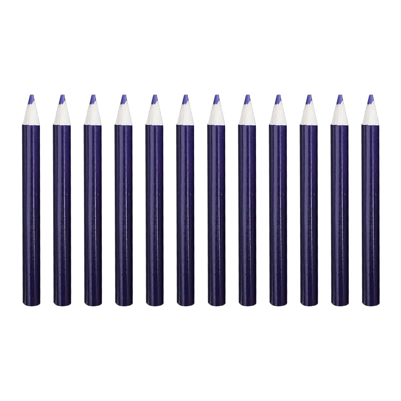 Shuxia 12-Count Colored Pencils Set - Professional Waterproof Art Pencils for Adults & Kids | Vibrant Assorted Colors for Drawing, Sketching & Coloring Books | Perfect for Artists, Students & DIY Projects (Purple, 87x7.5mm)
