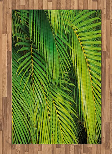 Fern Green