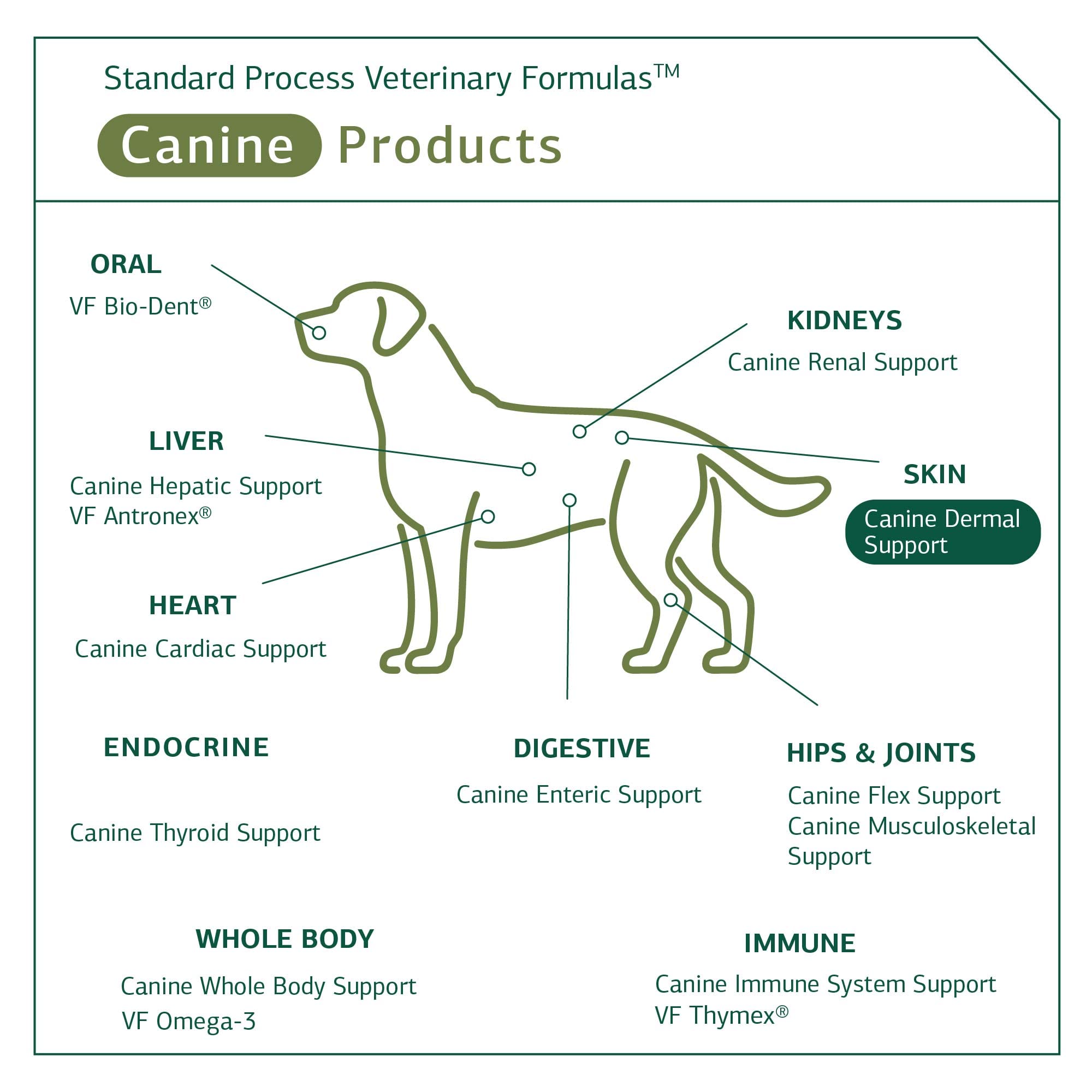 Standard Process Canine Dermal Support Dog Supplement - Skin & Adrenal Gland Health Powder for Daily Immune & Liver Support - 125g for Itchy Skin & Coat Care - Perfect for Dogs with Allergies & Dermatitis