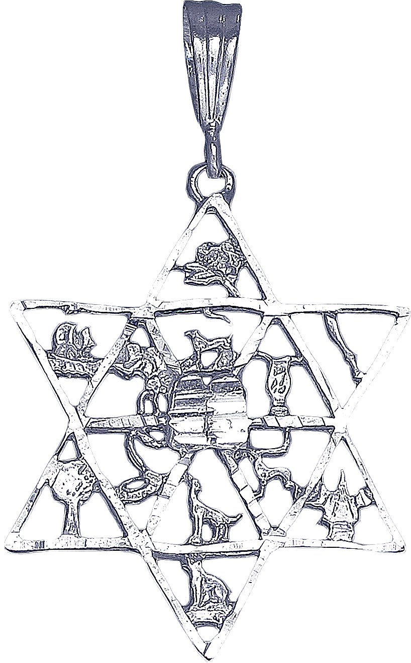 Sterling Silver 12 Tribes of Israel Charm Necklace with Star of David Pendant on 18
