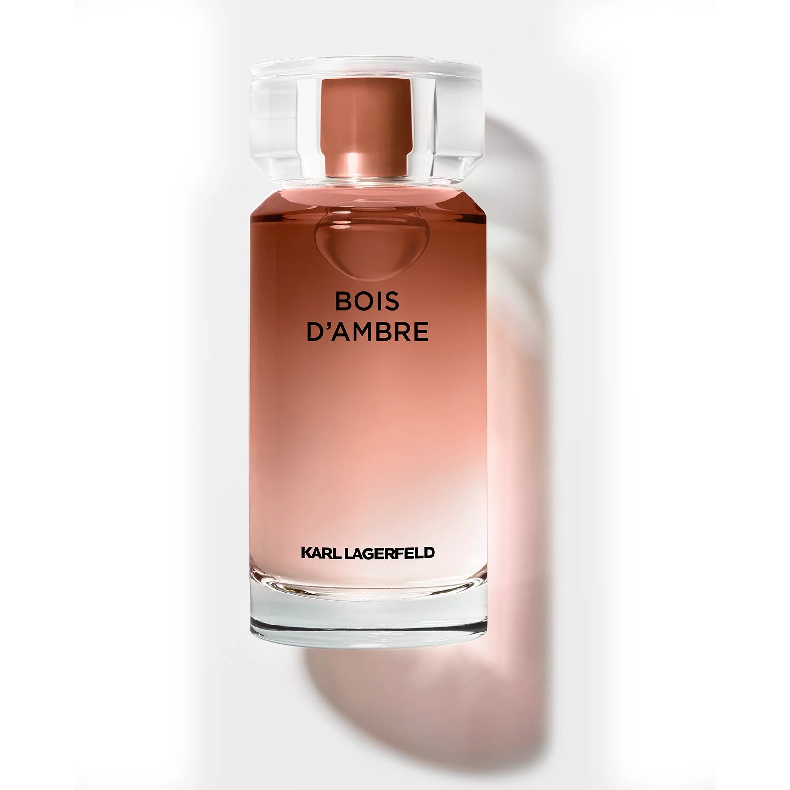 Bois De Ambre 3.4 oz Eau de Toilette for Men - Long Lasting Fragrance for Date Night, Office & Special Occasions