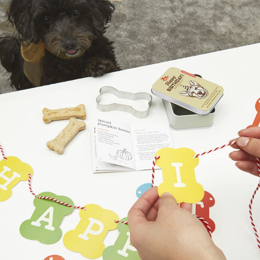Kikkerland Happy Birthday Dog Party Kit - Fun Pet Birthday Celebration Supplies for Dogs - Perfect for Dog Birthday Parties, Pet Celebrations & Special Occasions