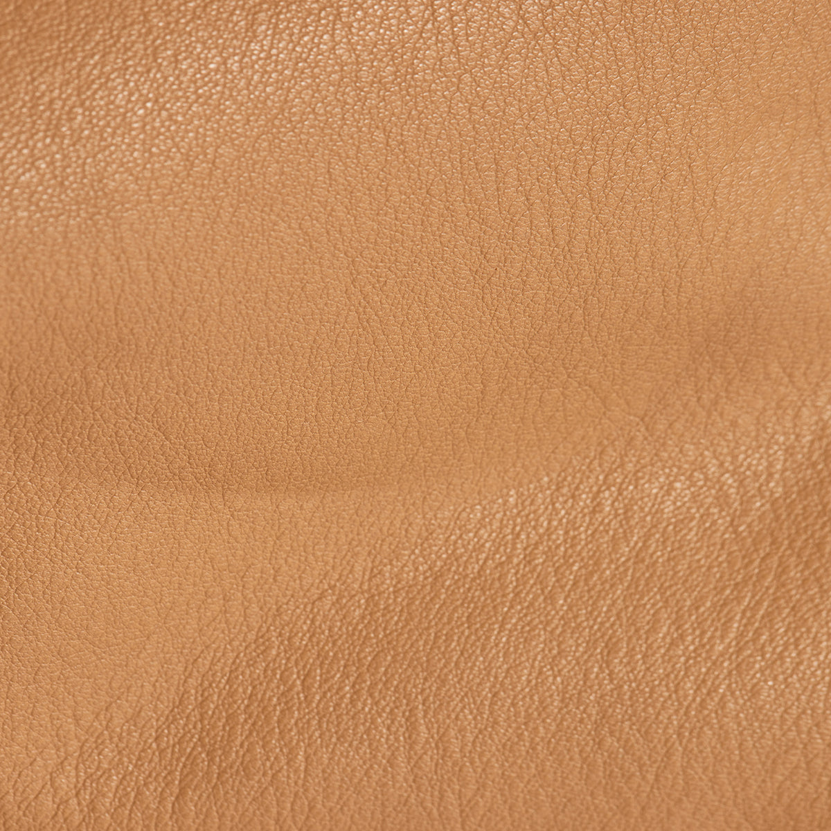 Bryant Toast Tan Brushed Gold Medium Size - Perfect for Home Decor, Kitchen, and Dining Room Accessories